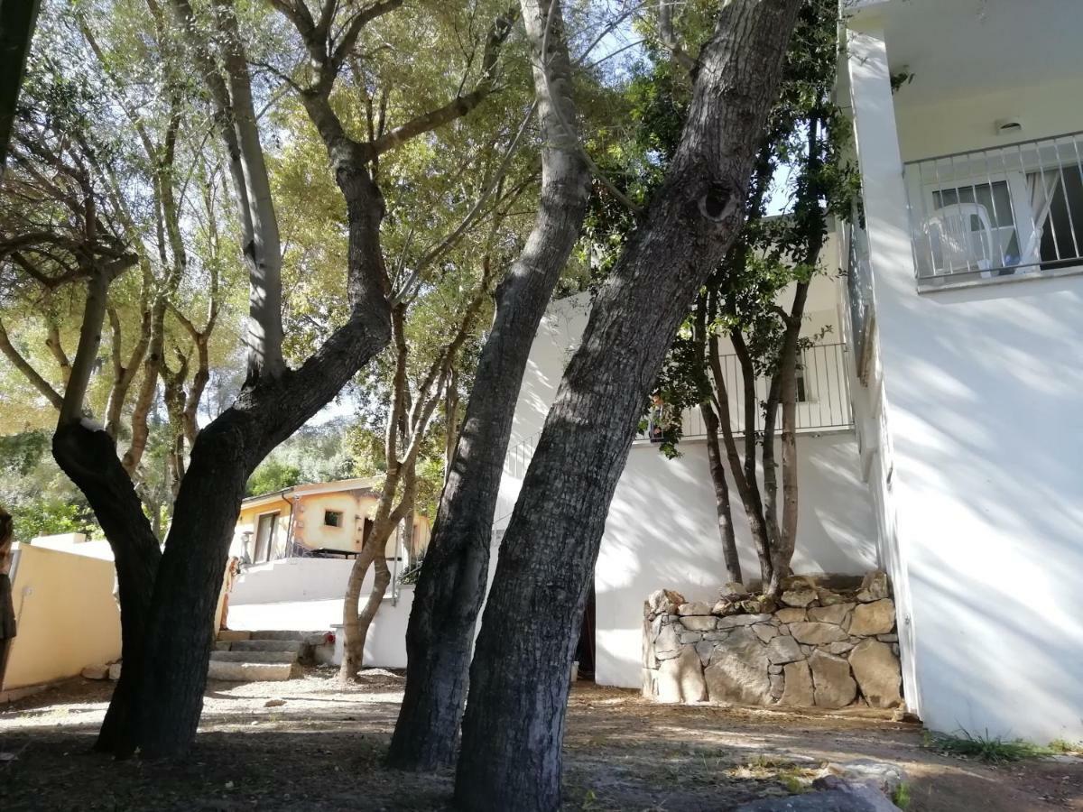 Hotel in campagna da Nino Olbia Esterno foto